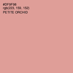 #DF9F98 - Petite Orchid Color Image